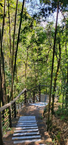 2025-01-30迷糊步道2704444