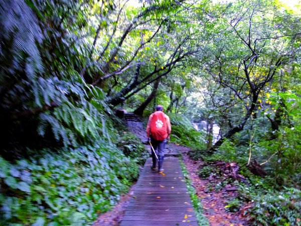 寒流暖湯楓紅情：魚路古道大縱走767597
