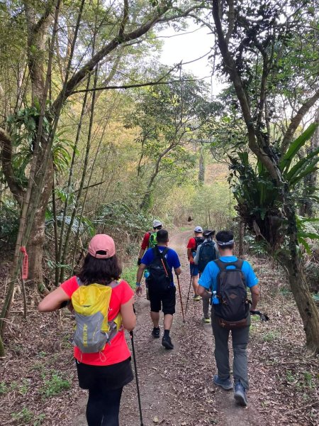 20240317十分速C團爬山趣2456995