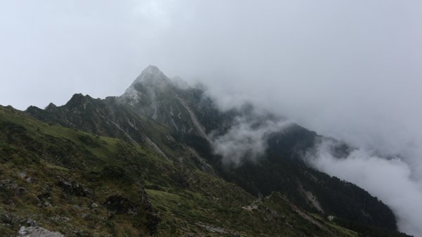 奇萊主山登山健行趣(百岳20號)2289990