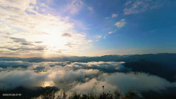 除夕寒流來襲的翡翠水庫雲海&天元宮寒櫻1/282700697