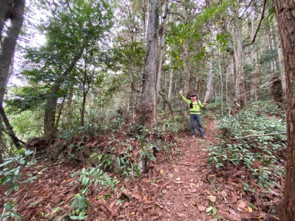 芝生毛台山、虎禮山連走1368984