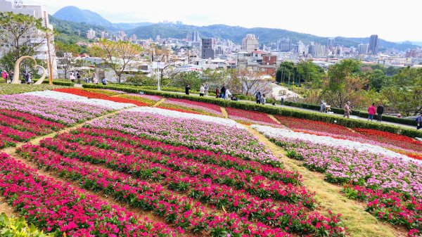 三層崎的呢喃2692139