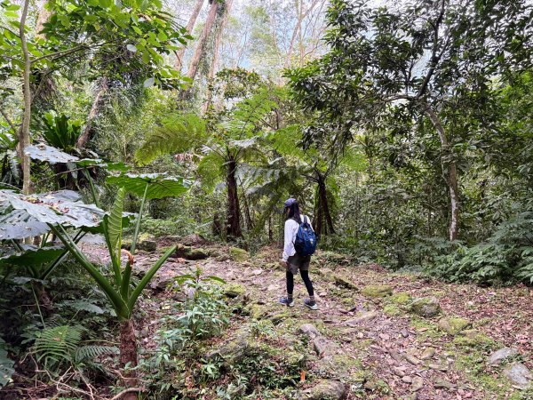 鯉魚山步道群2728387