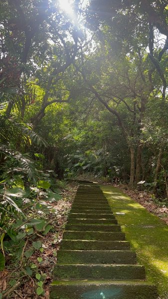 🌈6/22(日) 南投-中興新村-虎山步道✨FB：熊熊趴爬走🌈2818322