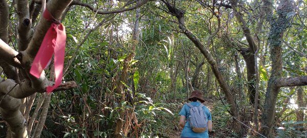 20230929_槓子寮山+砲台步道2300862