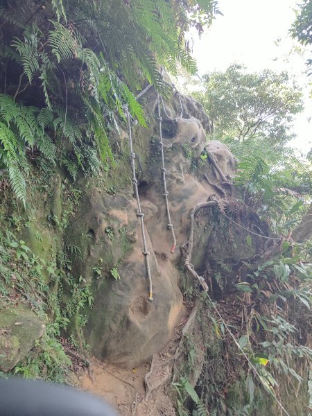 微笑山線：【二格山系】筆架連峰段2920967