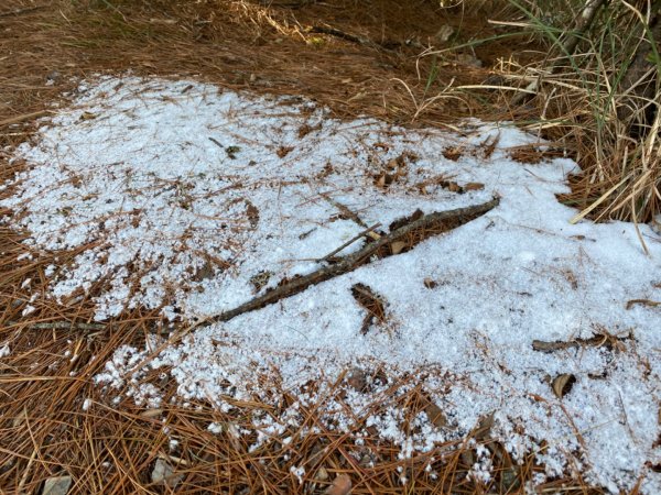 一日單攻白姑大山821539