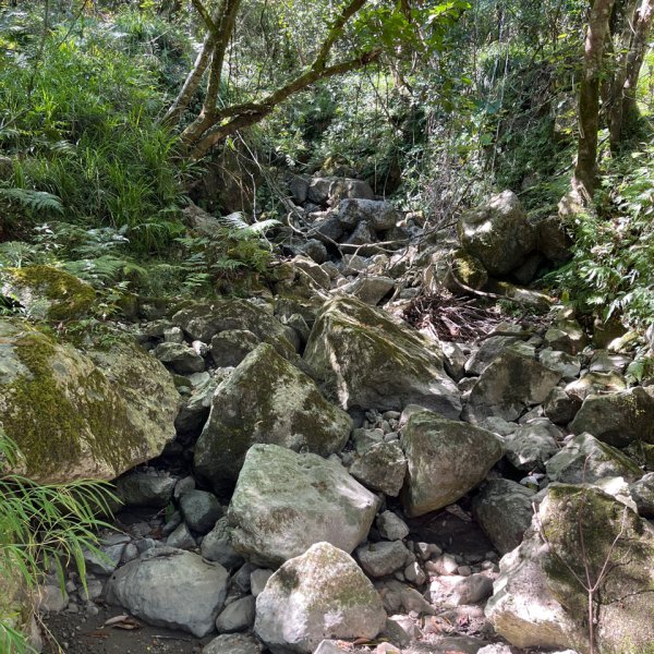 20251012_八里灣山（花蓮小百岳）2941300