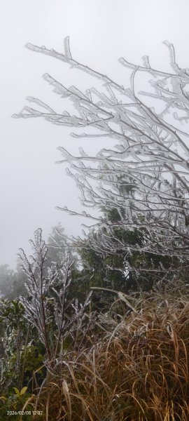 #霧淞 #雲海 #雲瀑 #霧虹 #太平山 #望洋山 #觀雲步道 #翠峰道路  2/82995340