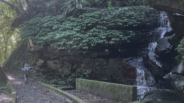 灣潭古道 & 北勢溪古道連走(淡蘭古道中路)2030145