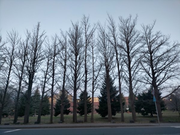 日本北海道札幌中島公園