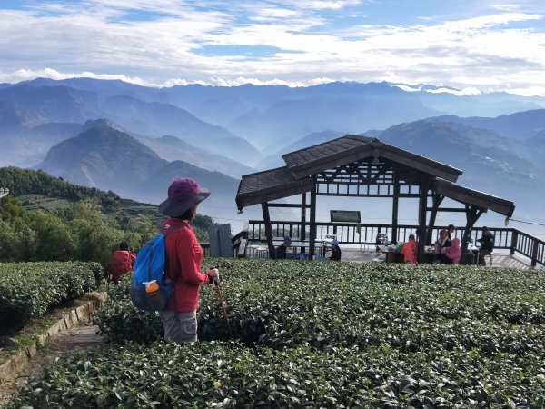 雲嘉大尖山步道2373950