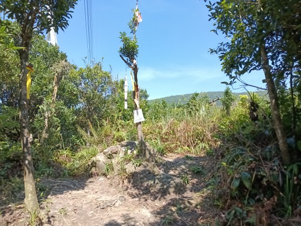 汐止區火燒坪山+車坪寮崙+五指山前峰O型2857917