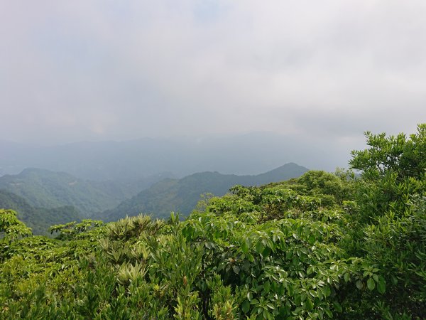 東眼山-拉卡山O型950452