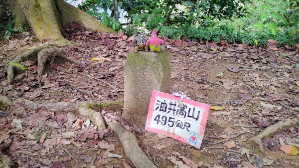 雙石縱走加碼蓬萊仙島山2997570