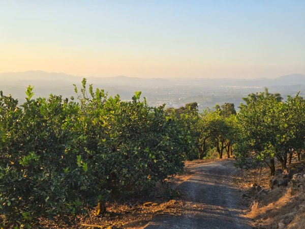 2025-12-30  南化牛港嶺點將石2972715