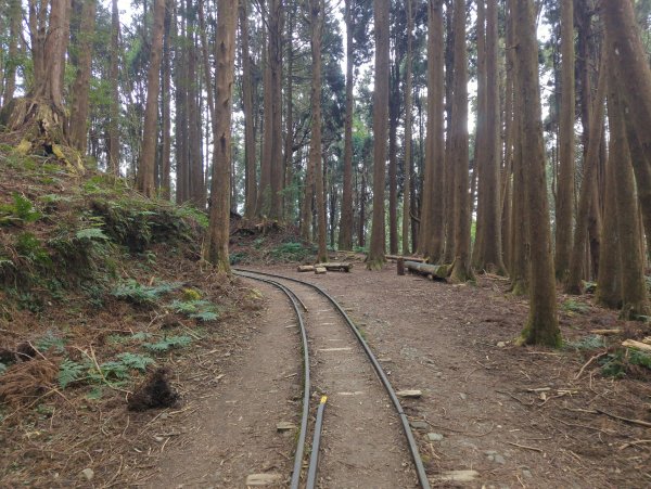 2026.02.14－特富野古道3013706