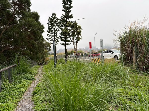 新北 林口 國際AI智慧園區-工一森林小徑-雪花步道-祖師巖登山步道-湖內公園3019101
