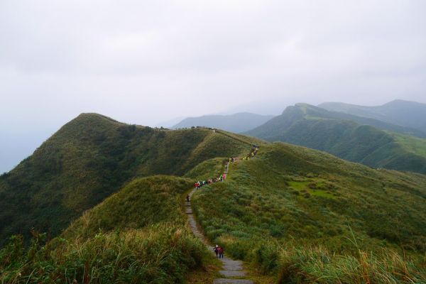 20171105草嶺古道-桃源谷-大溪199372