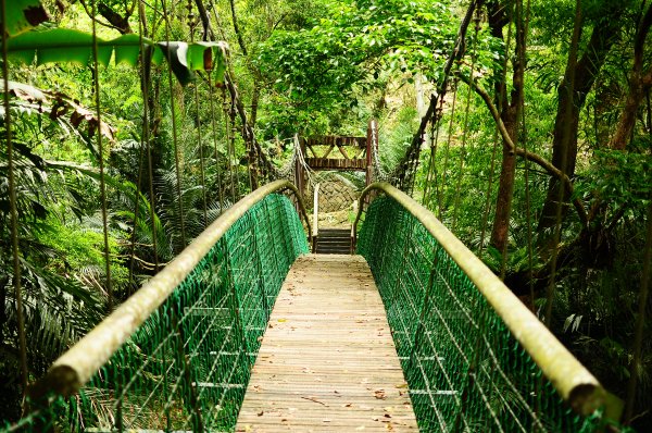 鄒族雅吾瑪斯步道916886