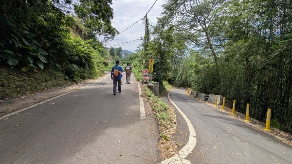 115.05.23枕頭山-枕頭山西峰-薑母島之旅3061265