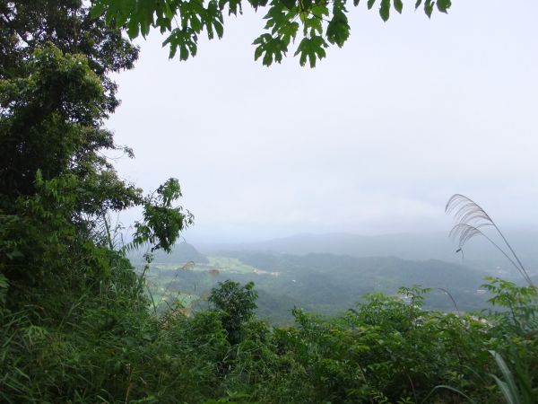 赤柯山．東獅頭山209334