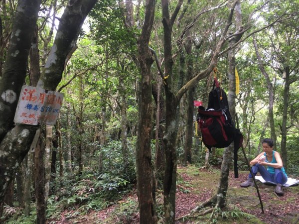 組合山、滿月圓山2202249