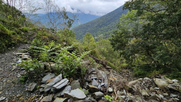 【美美兔走山趣】瓦拉米單攻27.2K-神人級路線。2773398