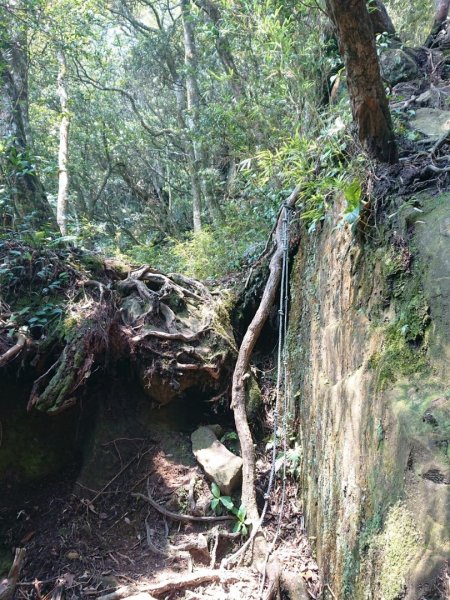 那結山（嘎色鬧部落線）893420