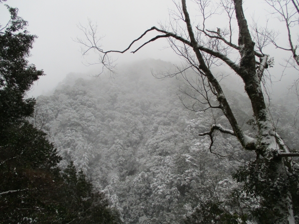 拉拉山之雪263143