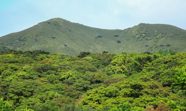 陽明山國家公園小放鬆916920