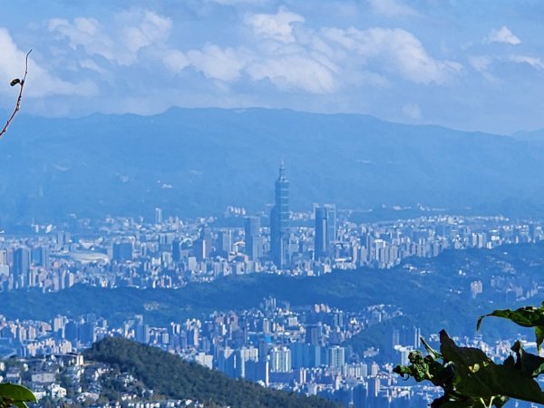 小百岳No.20⛰獅仔頭山2917936