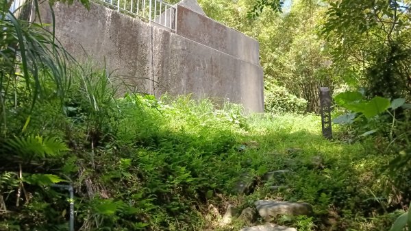 金山區大路崁古道-土地公步道-兩湖保甲路-水圳路3121310