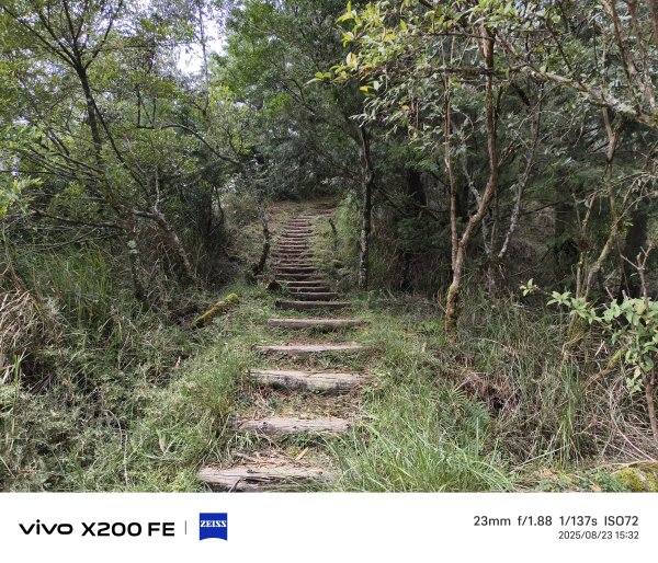[玉山尋寶任務-06/12] 2025_0823 東埔山步道2870136