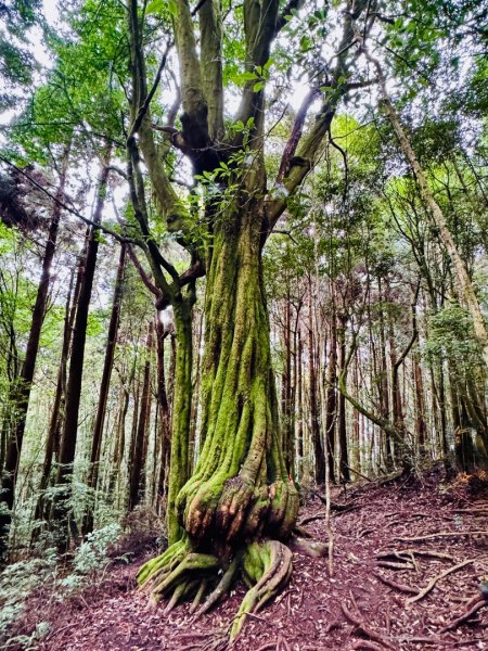 清泉 雪霸農場 野馬瞰山2925867
