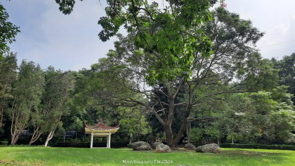 《台中》颱風前夕｜大肚環保公園登山步道(北段)202409292606712