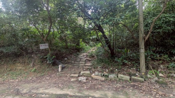 114.07.27槓子寮山+煙火2847303