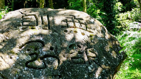 陽明山16草原之西線8草原2904065