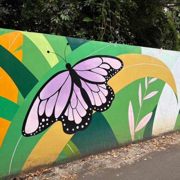 霄裡好風光運動樂悠遊2829064