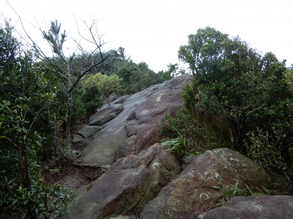 金明山/柯子林山/如意湖O型793973