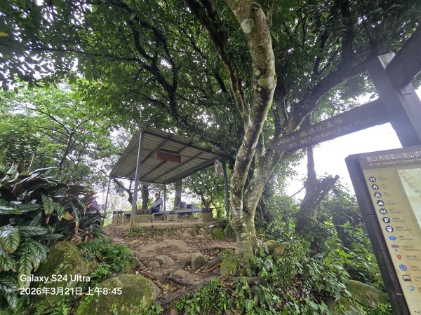 2026-03-21微笑山線：【鳶山山系】鳶山彩壁段3020445