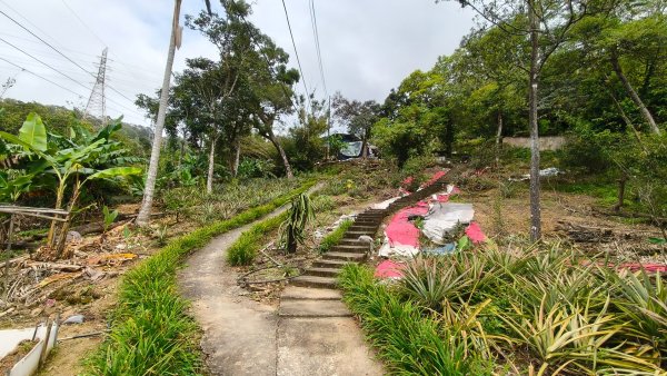 新北深坑，新翠谷登山步道3029706