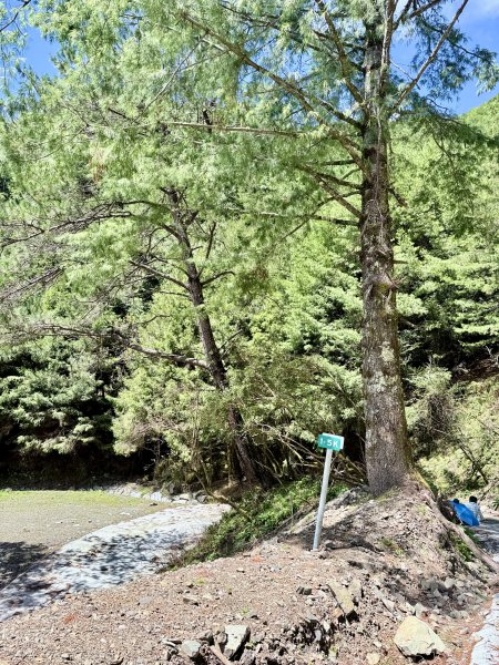 楠梓仙溪林道悠遊    2025.09.142886423