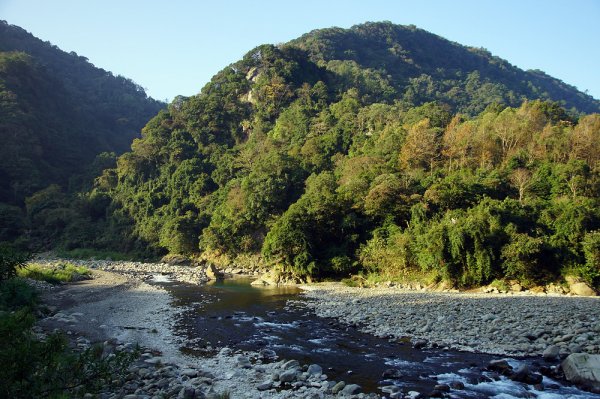 【新竹】尖石．內鳥嘴山，北得拉曼神木群