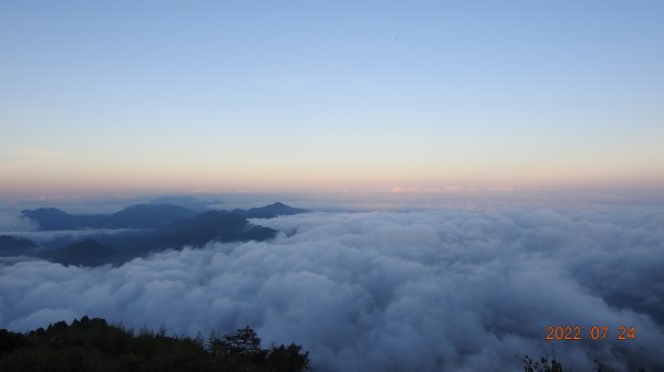 最高小百岳-大塔山2663M&阿里山二延平步道1774981