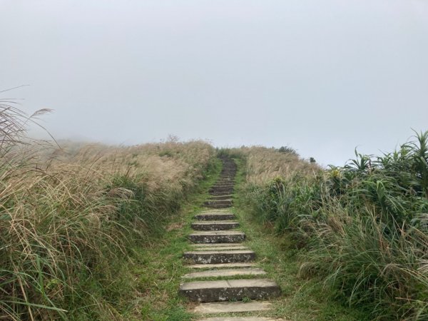 蕃薯寮山-福德山-桃源谷-灣坑頭山-草嶺古道(大溪-大里)1912132