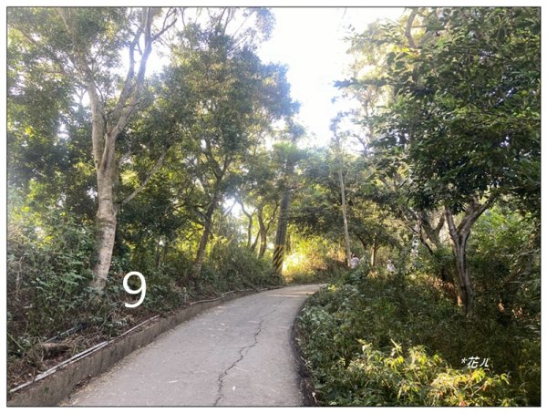 軍功寮山、大坑9、7、6、9-1步道 O型一圈2950794