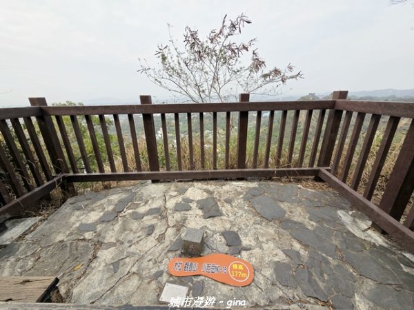 【高雄大社】小百岳大社觀音山步道3013130