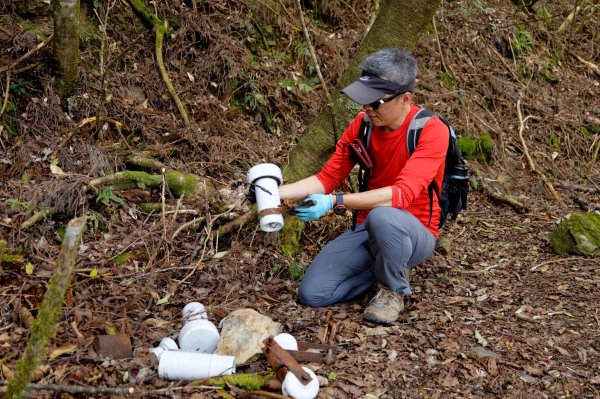 尋幽訪古遊走千年巨木和幻霧美森的樂山林道2882341